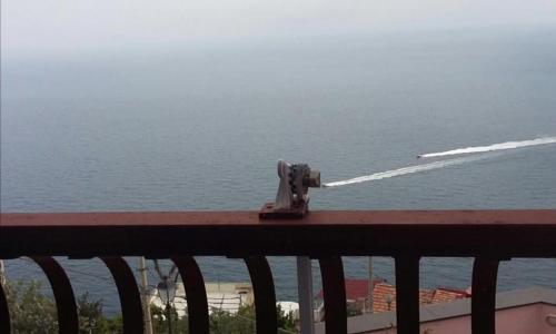 La Pizzerella di Amalfi