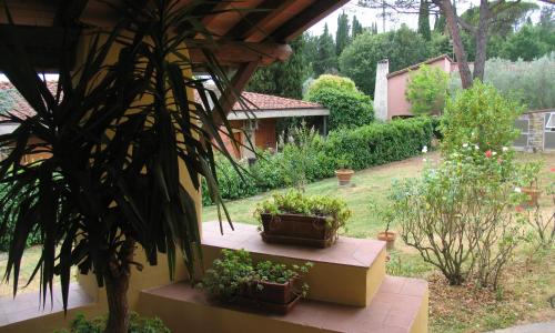 The Colours Of Chianti