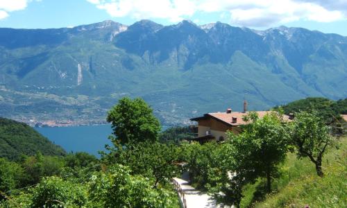 Agriturismo La Zangola