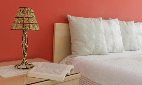 Actinia Accommodation