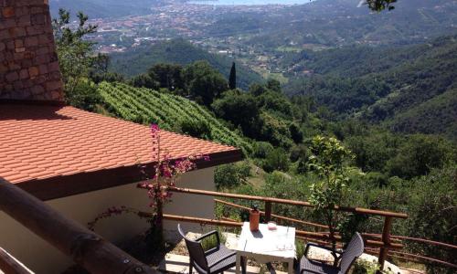 The House In The Green affitta camere