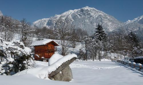Chamonix petit chalet Cocooning