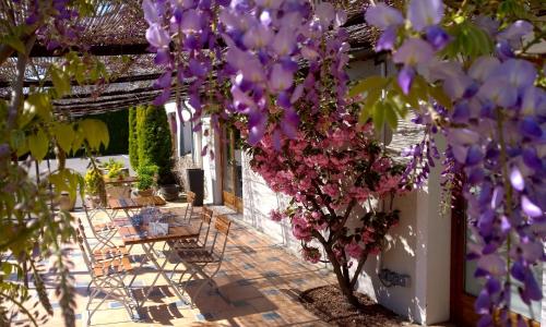 Logis Hotel Le Nouvel