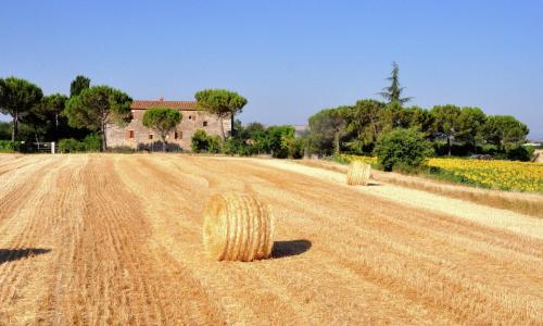 Nice farmhouse in Asciano with shared pool