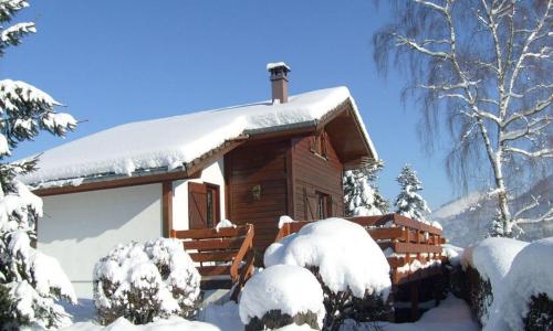 Comfy chalet with dishwasher, in the High Vosges