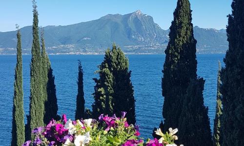 Il Paradiso Apartments Great View Gardasee