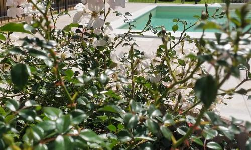 Residenza Cieloterra