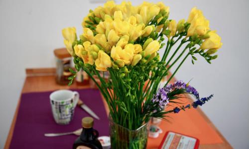 Casa Vacanza Marrucini