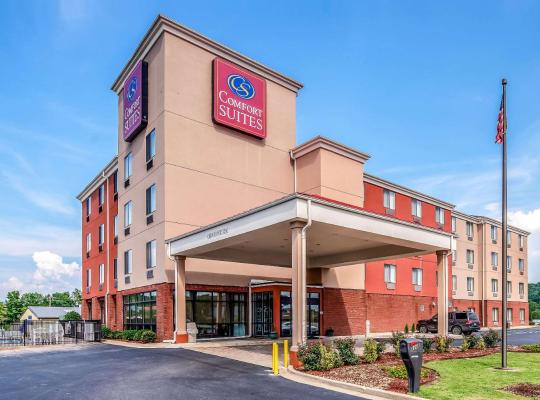 Comfort Suites Pelham Hoover I-65, hotel in Pelham