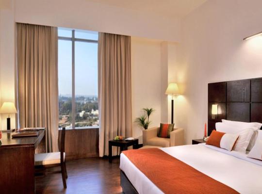 Comfort Inn Tulip Heights, hotel in Bathinda