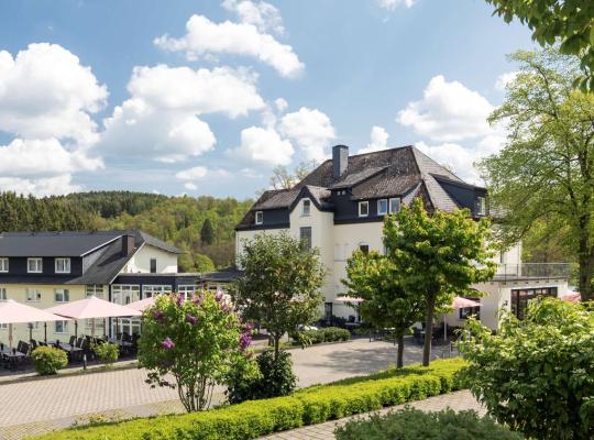 Dorint Parkhotel Siegen, отель в Зигене