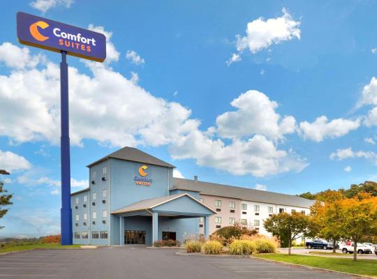 Comfort Suites Bloomsburg, hotel din Bloomsburg