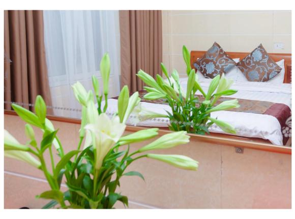 Khách sạn Asean, Винь