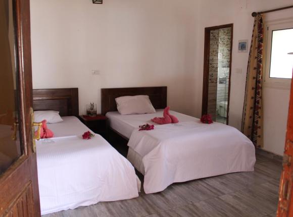 Sunshine Divers Club, Шарм-эль-Шейх