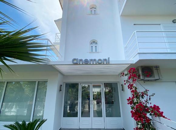 Anemoni Beach Hotel, Скиатос