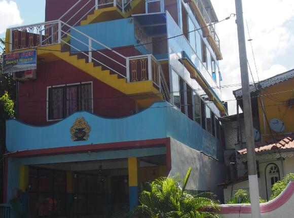 King Fish Guest House, Негомбо