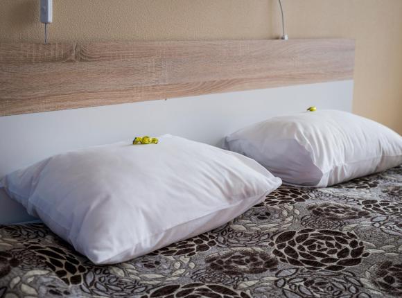 Hotel Tamula, Выру