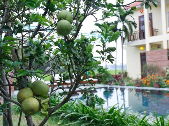 Lama Homestay - Villa Hoi An, Хойан