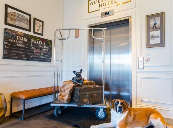 The Guesthouse Hotel