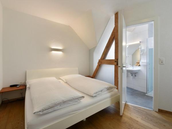 Hotel National Bern : photo 2 de la chambre chambre lit queen-size Économique 