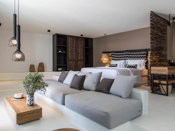 My Mykonos Hotel : photo 3 de la chambre suite 1 chambre avec bassin profond privé