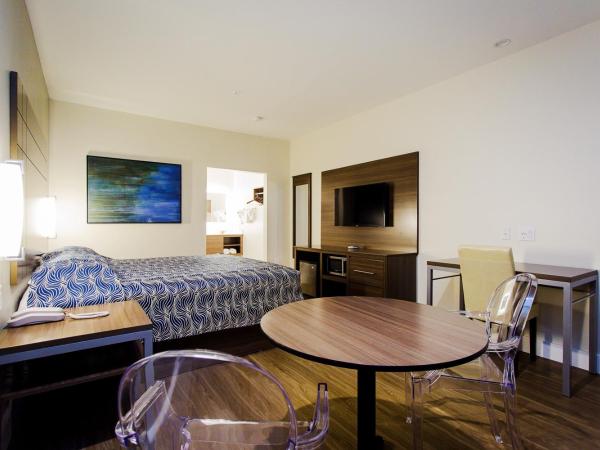 Palace Inn Blue US-59 & Gessner : photo 2 de la chambre chambre lit king-size supérieure