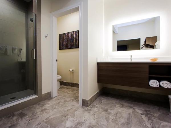 Palace Inn Blue US-59 & Gessner : photo 3 de la chambre chambre lit king-size supérieure