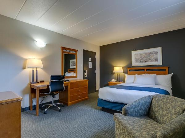 West Wing at Park Town : photo 5 de la chambre chambre lit queen-size Économique 