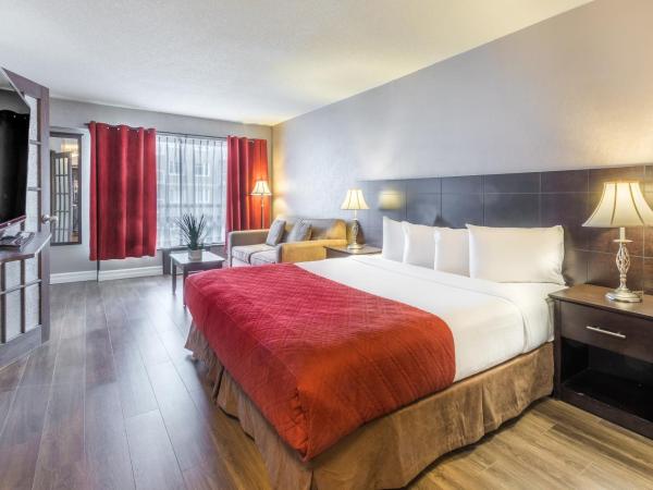 Hotel Universel : photo 1 de la chambre chambre lit king-size de luxe avec jacuzzi