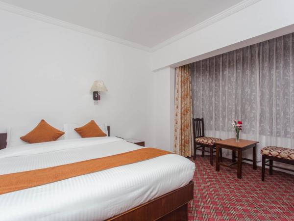 Fuji Hotel : photo 6 de la chambre chambre double ou lits jumeaux standard avec ventilateur