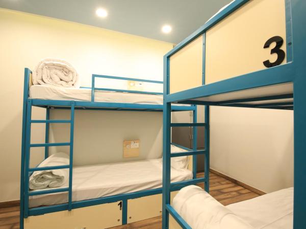 Blue Beds Hostel : photo 3 de la chambre lit dans dortoir mixte de 4 lits avec climatisation