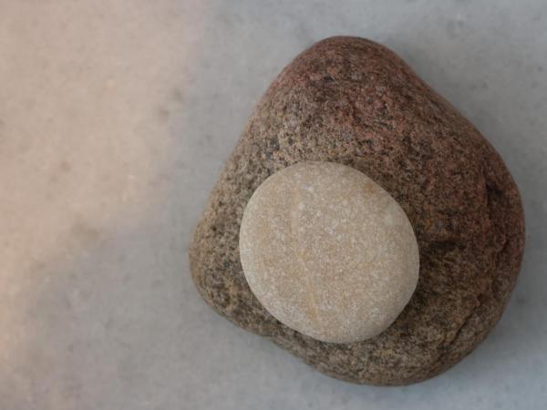 Relax Studios : photo 9 de la chambre chambre triple - vue sur jardin