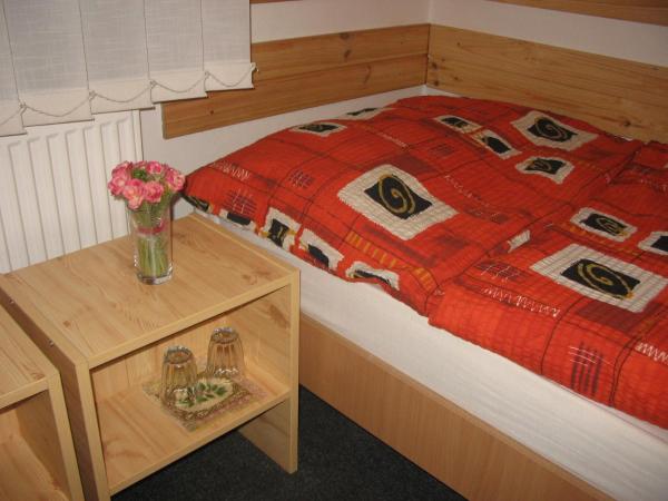 Bed & Breakfast Penzion Brno : photo 2 de la chambre chambre simple