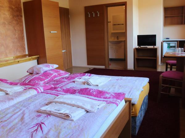 Pension Lukas : photo 8 de la chambre chambre triple confort avec douche #6