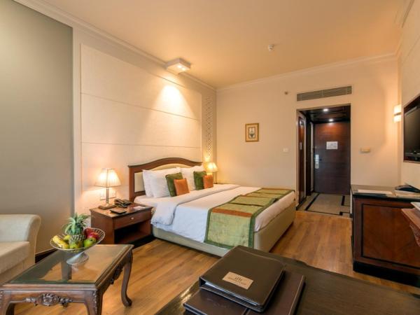 Howard Plaza The Fern, Agra : photo 3 de la chambre winter green room