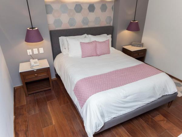 Casa Rosa Gran Hotel Boutique : photo 3 de la chambre suite standard (sans vue)