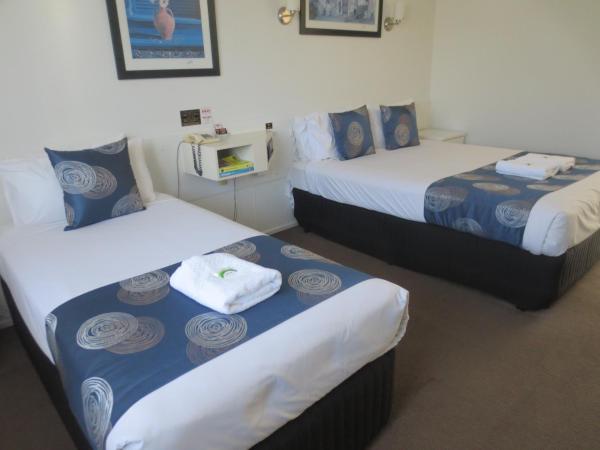 Aspley Pioneer Motel : photo 2 de la chambre room 13