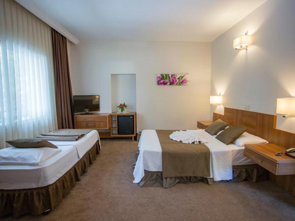 Melis Hotel Kusadasi : photo 2 de la chambre chambre triple - vue sur jardin