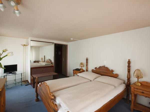 Spalenbrunnen Hotel & Restaurant Basel City Center : photo 7 de la chambre chambre double