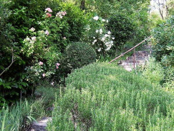 AU VALLON ROUGE (Studio) : photo 6 de la chambre maison 1 chambre