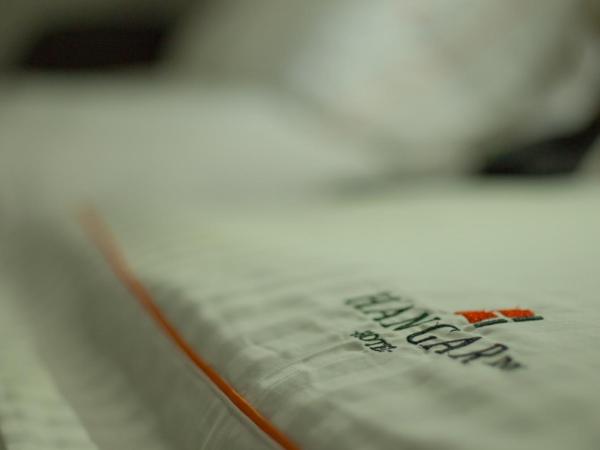 Hangar Inn Guadalajara Aeropuerto : photo 3 de la chambre chambre double standard