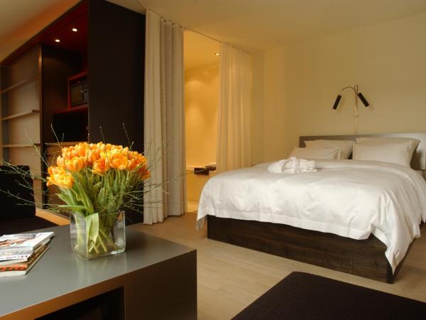 Sorell Hotel Rigiblick - Studios & Spa Suites : photo 2 de la chambre studio