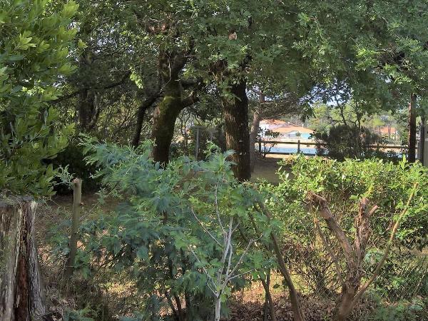 B&B Mob Mimizan On The Beach : photo 9 de la chambre chambre double - vue sur jardin