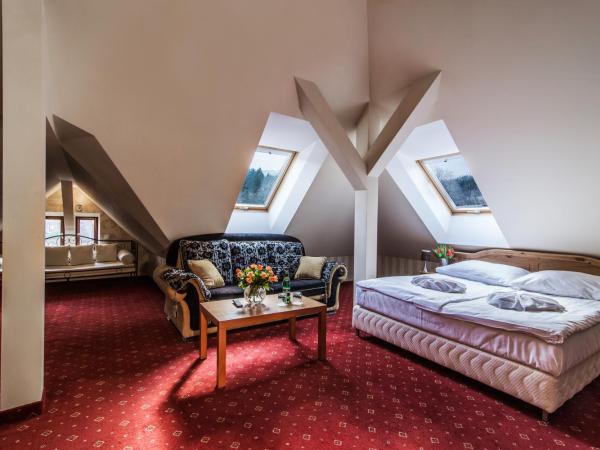 Perła Karkonoszy SPA : photo 2 de la chambre chambre premium de luxe