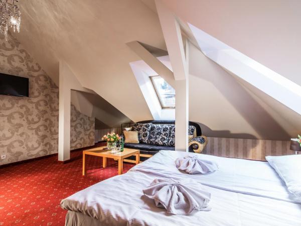 Perła Karkonoszy SPA : photo 1 de la chambre chambre premium de luxe