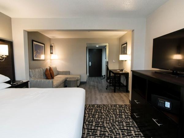 Wingate by Wyndham Dallas Love Field : photo 2 de la chambre chambre lit king-size avec baignoire - accessible aux personnes malentendantes/non-fumeurs