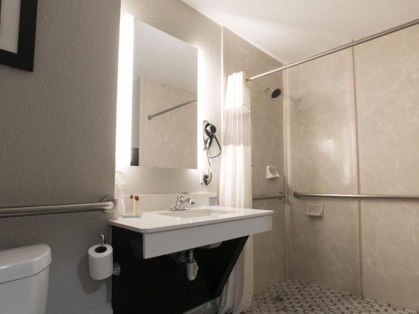 Wingate by Wyndham Dallas Love Field : photo 4 de la chambre chambre lit king-size avec baignoire - accessible aux personnes malentendantes/non-fumeurs