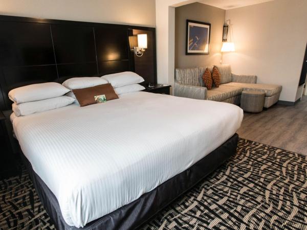 Wingate by Wyndham Dallas Love Field : photo 3 de la chambre chambre lit king-size avec baignoire - accessible aux personnes malentendantes/non-fumeurs