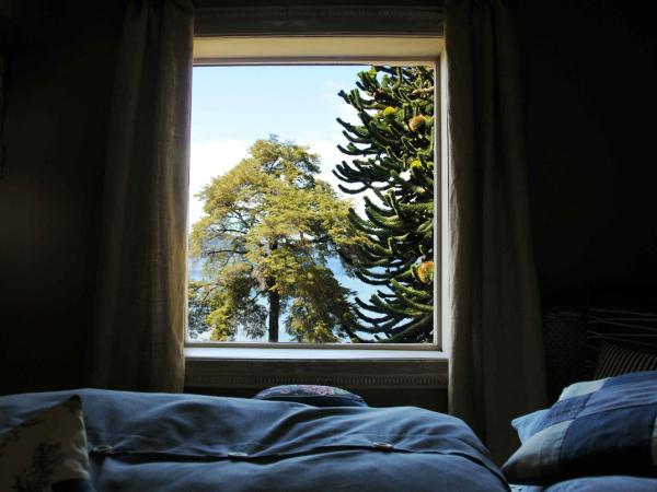 Los Juncos Patagonian Lake House : photo 2 de la chambre suite junior