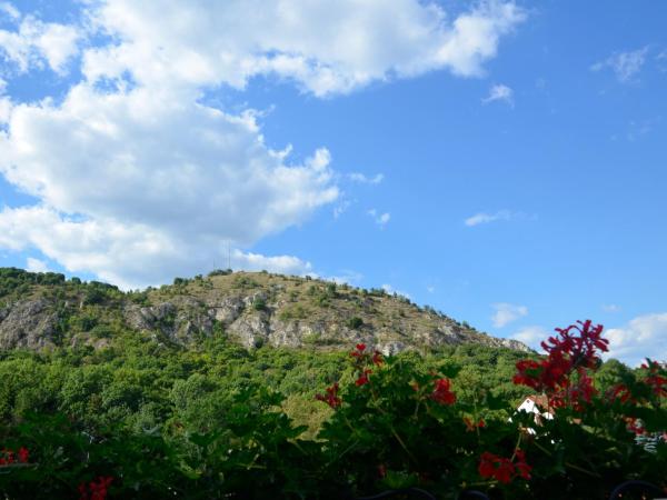 Ida Panzió : photo 8 de la chambre chambre double - vue sur montagne